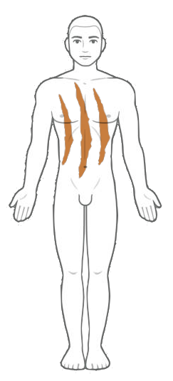 File:Mika mark ref.png