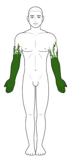 File:Leo mark ref.png